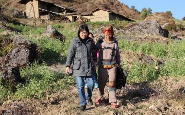 张桂梅事迹的启发与思考作文，张桂梅事迹师德师风心得