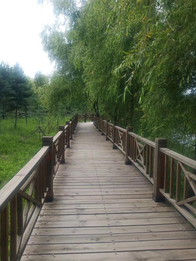 回忆往事的唯美句子摘抄，回忆往事的唯美句子开头