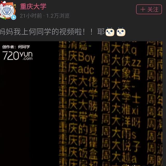 何同学是哪里人（何同学身份）