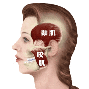 脂肪型发腮了还能变回去吗，20岁发腮了还能变回去吗