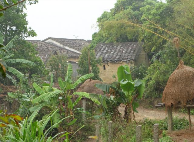 网络用语内卷是什么意思，内卷是网络用语吗