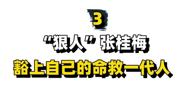 张桂梅事迹的启发与思考作文，张桂梅事迹师德师风心得