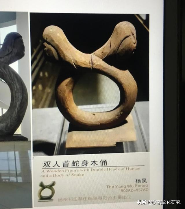 拥有龙族血统的八大姓氏（龙族有几大姓氏）