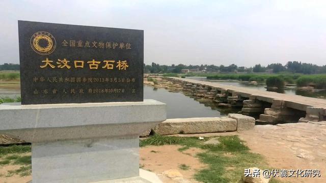 拥有龙族血统的八大姓氏（龙族有几大姓氏）