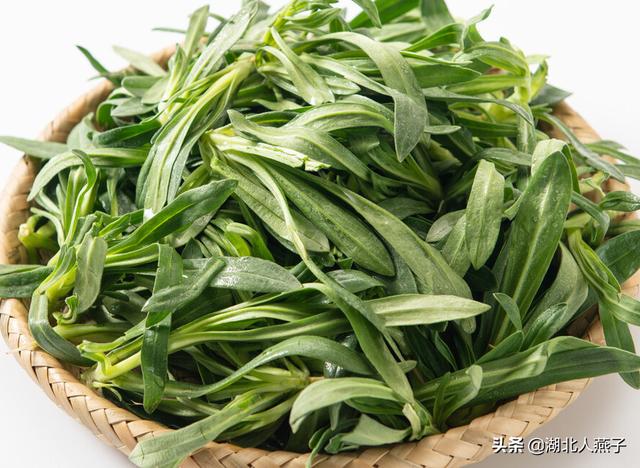 能吃的100种野菜图片莿菜的吃法，能吃的100种野菜图片哈码草图片