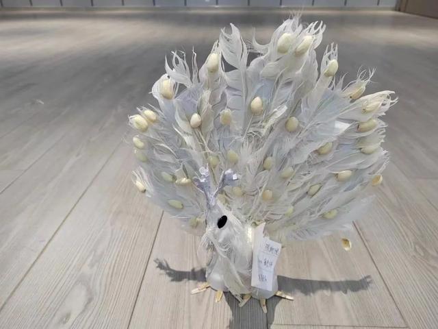 学生科技创新100个小点子（小学生科技创新金点子）