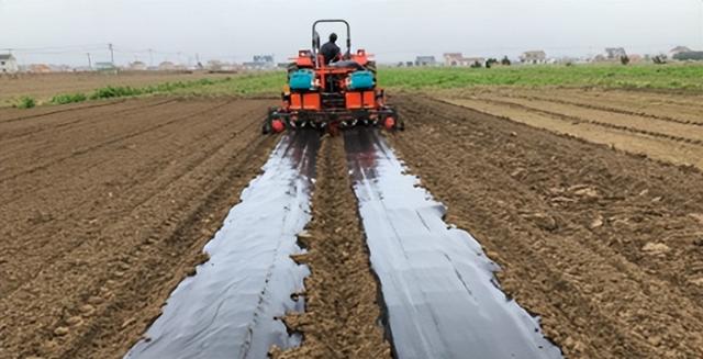 移栽机生产厂家（进口移栽机）