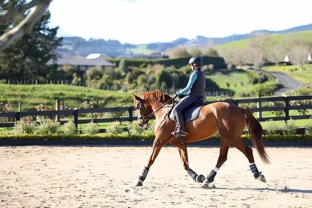 学浪app下载安卓官方版（学浪app下载安装）