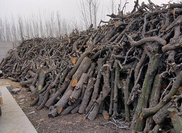 小型加工厂管理软件（小型加工厂项目 农村 家庭 最新）