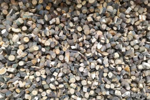 未来5年稀缺中药材地黄（未来5年稀缺中药材湖北省）