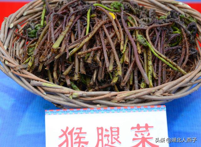 能吃的100种野菜图片莿菜的吃法，能吃的100种野菜图片哈码草图片