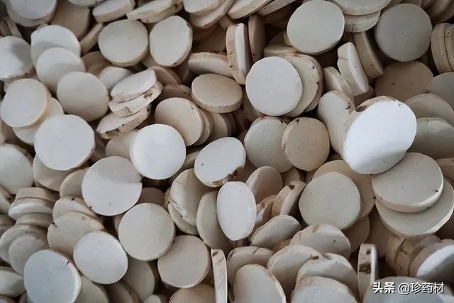 未来5年稀缺中药材地黄（未来5年稀缺中药材湖北省）