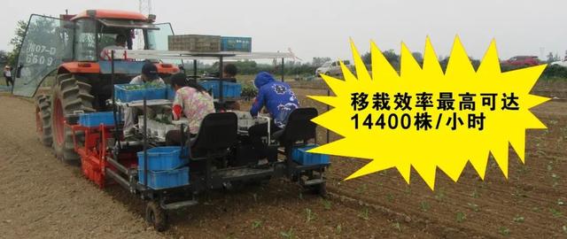 移栽机生产厂家（进口移栽机）