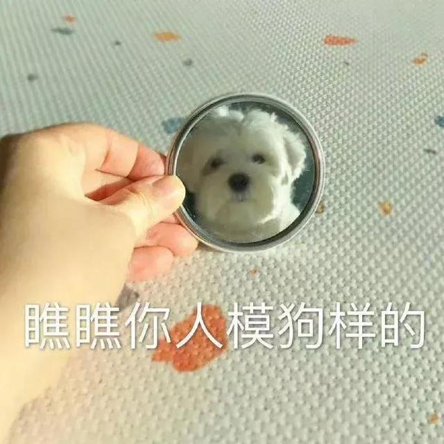 欠债16万 坦白后崩溃了（欠债坦白经历）