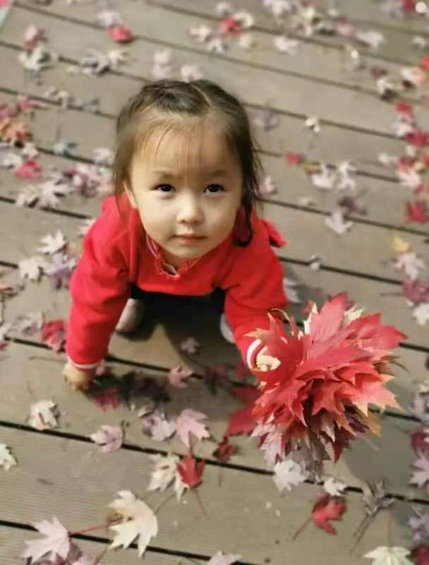 华为seaal10是什么型号的手机，型号为seaal10什么手机