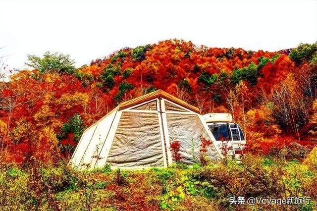 万叶集作者,万叶集原文