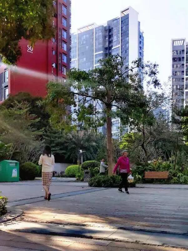 华为seaal10是什么型号的手机，型号为seaal10什么手机