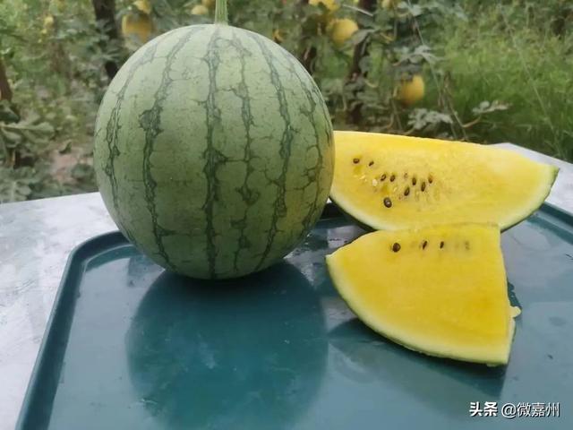 冰淇淋西瓜是什么品种图片大全，冰淇淋西瓜是什么品种图片介绍