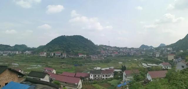 北大李晨视频直播，北大李晨现状