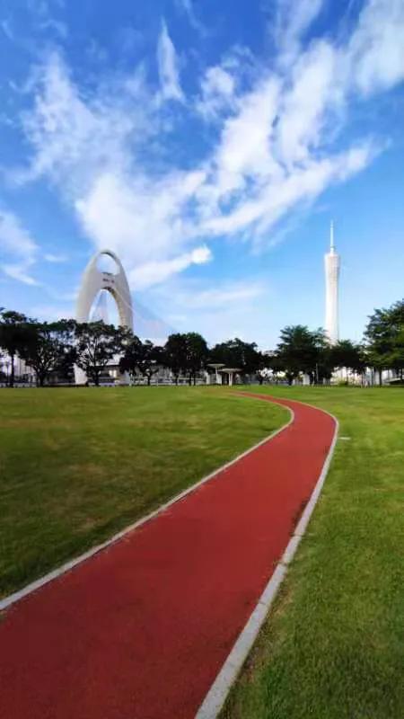 华为seaal10是什么型号的手机，型号为seaal10什么手机