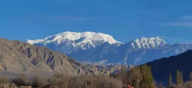 华为seaal10是什么型号的手机，型号为seaal10什么手机