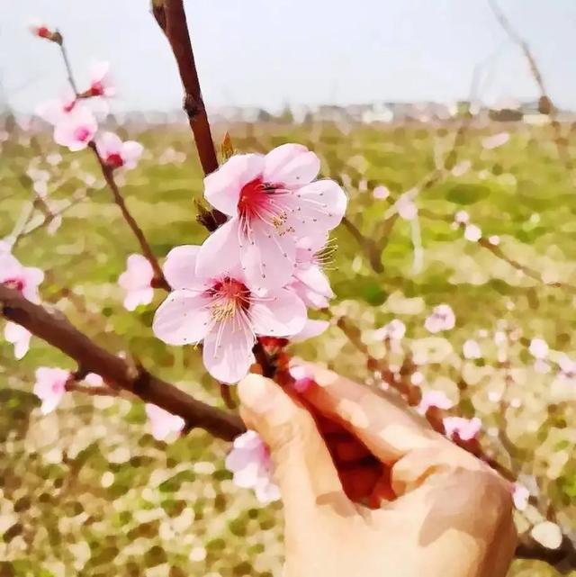 形容阳光正好的唯美句子，阳光正好的唯美句子普通单位交了五险一金有退休工资