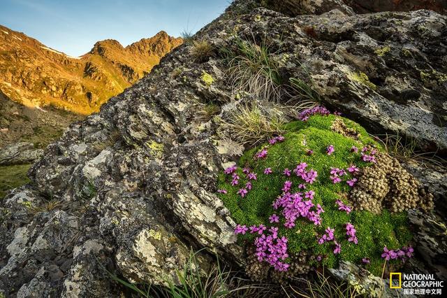马航中国科学家名单，马航上的八名科学家研究的什么