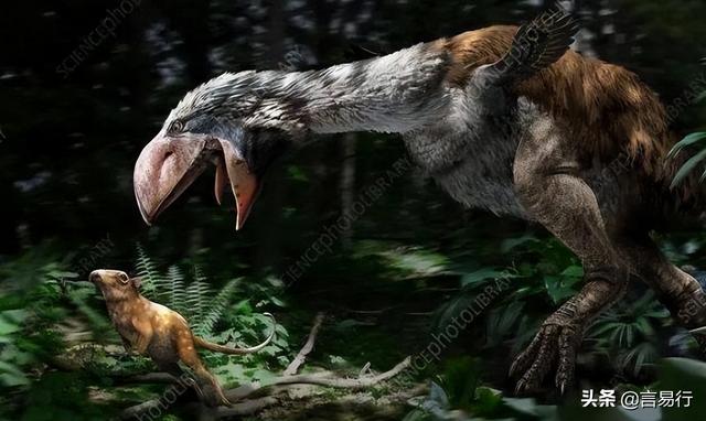 十大灭绝的可怕古生物（十大灭绝的奇怪古生物）