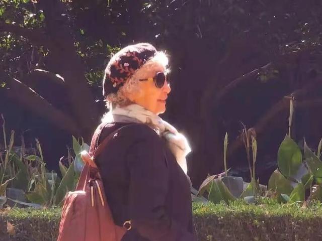 华为seaal10是什么型号的手机，型号为seaal10什么手机