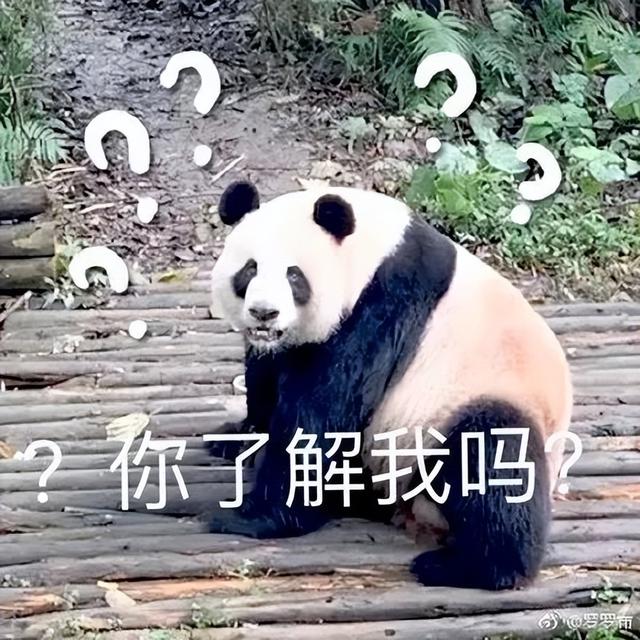 大熊猫为什么叫大熊猫这个名字一句，大熊猫的名字为什么叫大熊猫