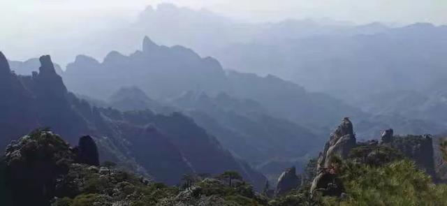 华为seaal10是什么型号的手机，型号为seaal10什么手机