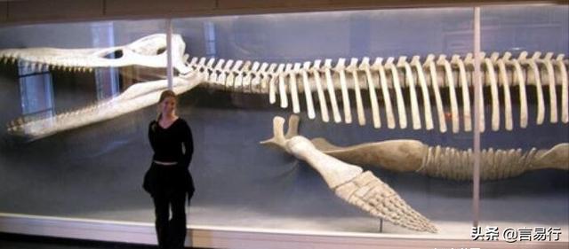 十大灭绝的可怕古生物（十大灭绝的奇怪古生物）
