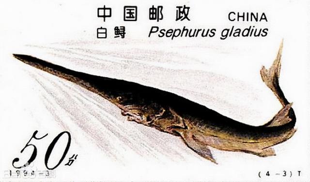 匹诺曹是什么意思啊,匹诺曹的意思