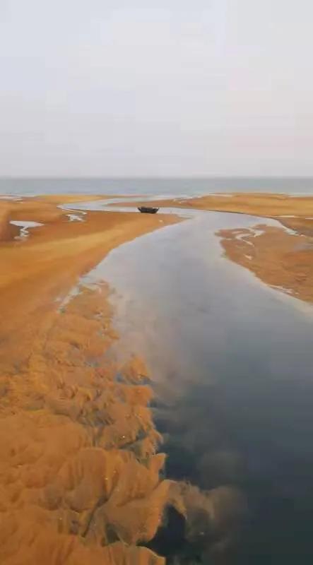 华为seaal10是什么型号的手机，型号为seaal10什么手机