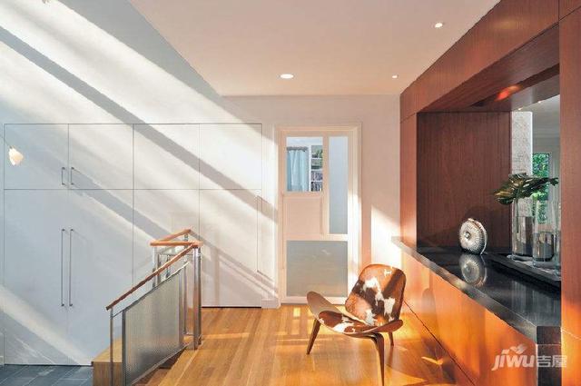 自从养了猫运气就一直不好,养猫运气会不好吗