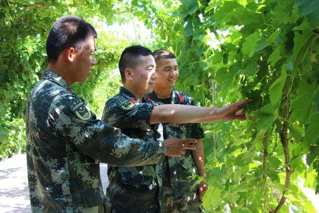 武警部队司务长是什么级别，父母爱情司务长是什么级别