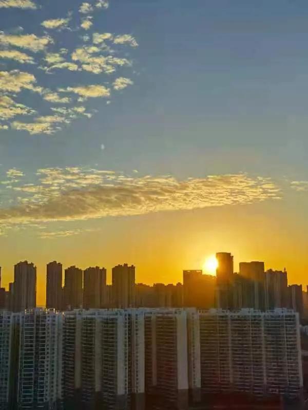 华为seaal10是什么型号的手机，型号为seaal10什么手机