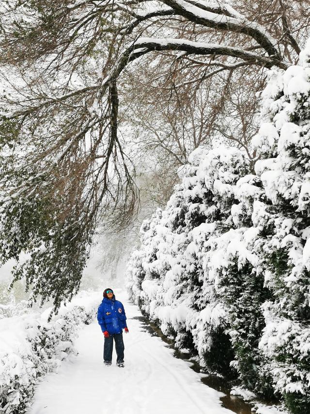 华为seaal10是什么型号的手机，型号为seaal10什么手机