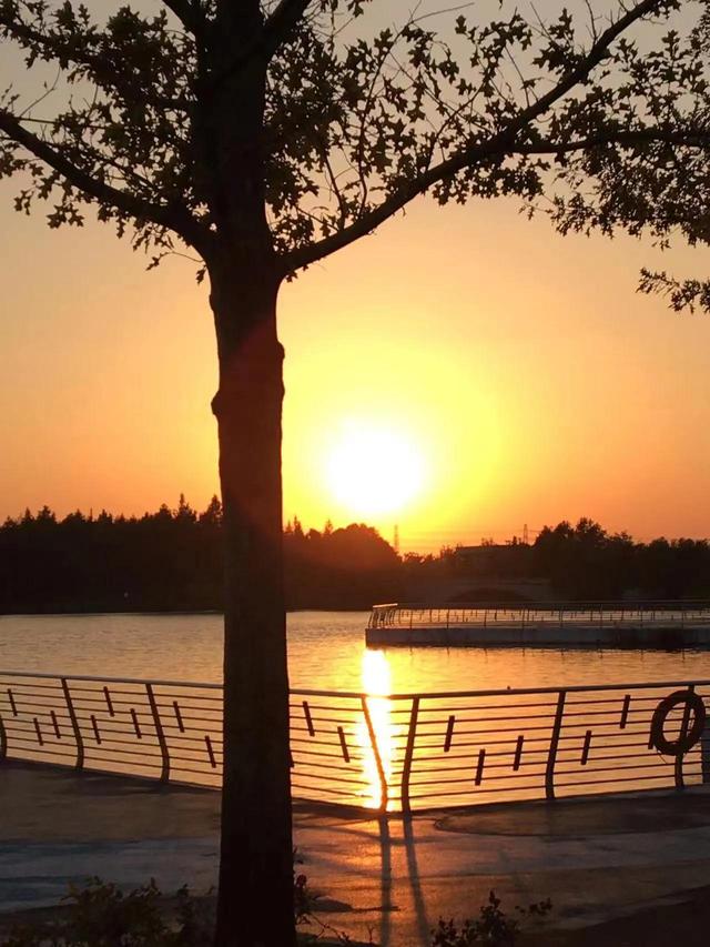 华为seaal10是什么型号的手机，型号为seaal10什么手机