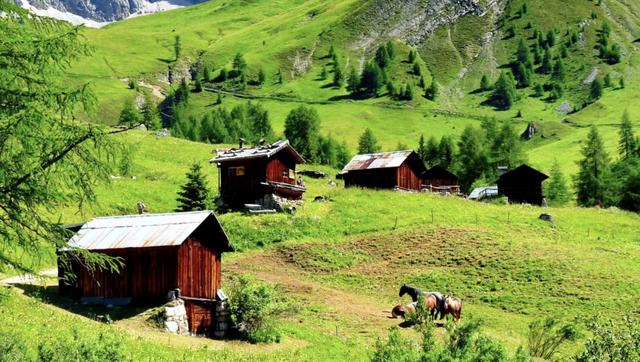 张扬跋扈张扬跋扈，张扬跋扈目中无人