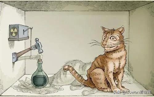 推特是干什么的软件啊，推特是干什么的软件呀