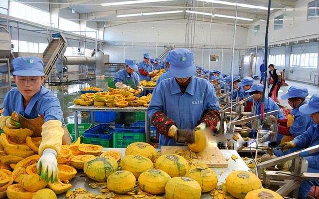 0个农村办厂项目农村办厂5011阅读，30个农村办厂项目工业园"