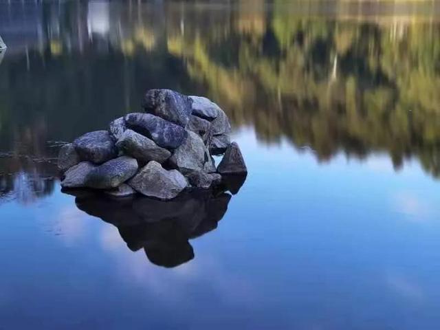 华为seaal10是什么型号的手机，型号为seaal10什么手机