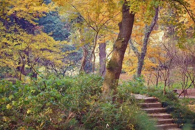 高中语文试卷自我分析与反思，语文试卷自我分析与反思200字