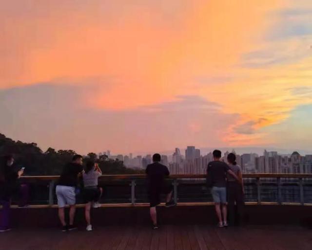 华为seaal10是什么型号的手机，型号为seaal10什么手机