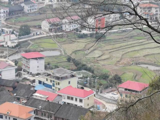 北大李晨视频直播，北大李晨现状