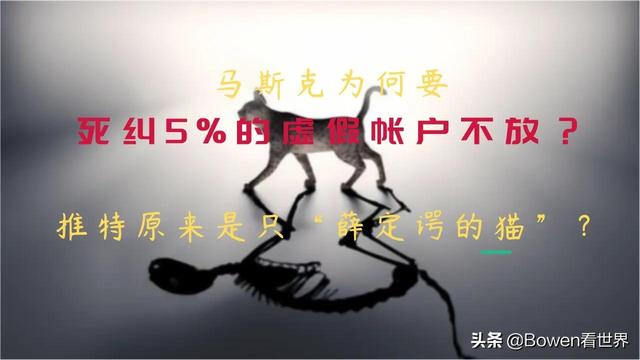 推特是干什么的软件啊，推特是干什么的软件呀