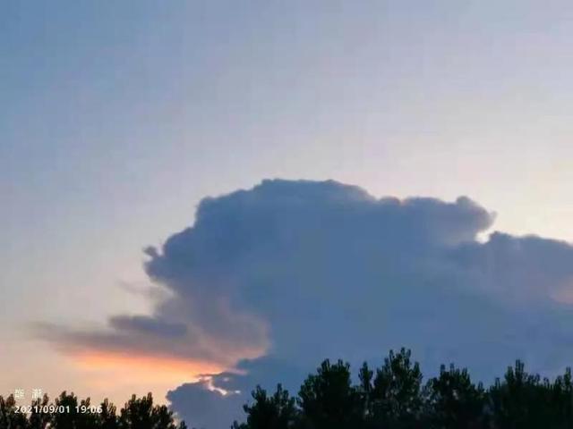 华为seaal10是什么型号的手机，型号为seaal10什么手机