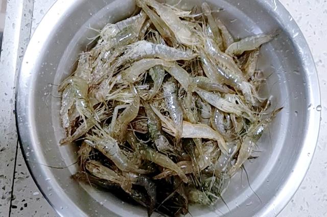 海虾种类大全图片，海虾种类大全价格