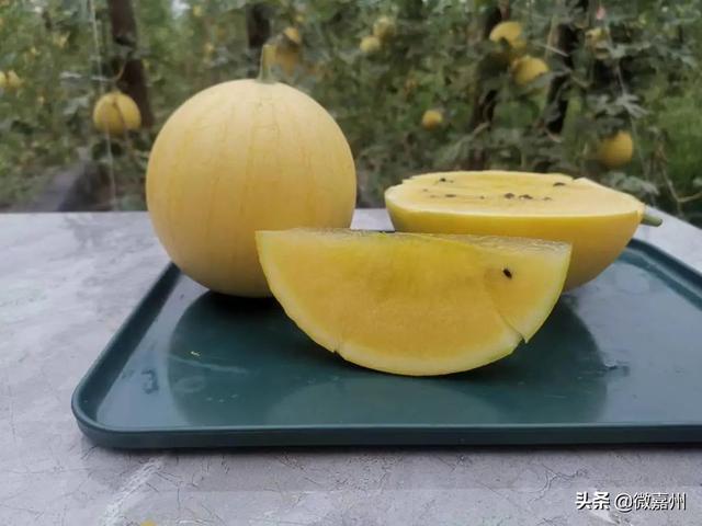 冰淇淋西瓜是什么品种图片大全，冰淇淋西瓜是什么品种图片介绍